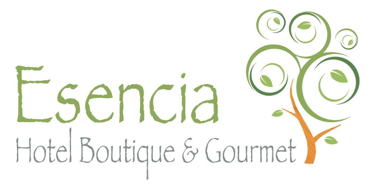 Esencia Hotel Boutique Viña del Mar Exterior foto